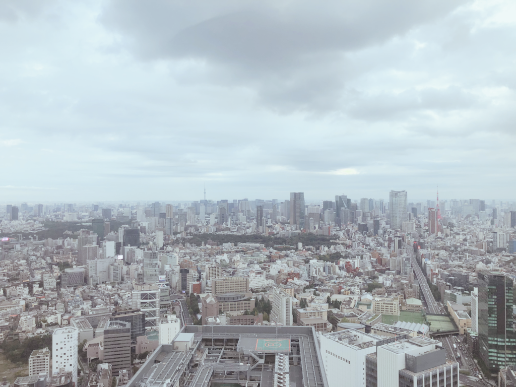 東京景色ビル